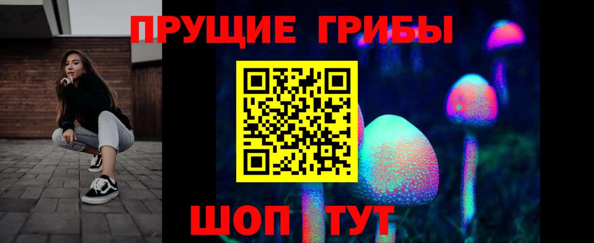 Куйбышев  Псилоцибиновые грибы ЛСД  Вход с VPN  Псилоцибиновые грибы мицелий 